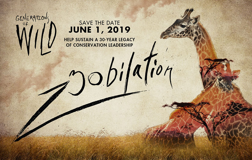 Zoobilation 2019 graphic