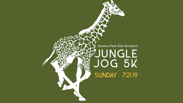 Jungle Jog 2019 logo