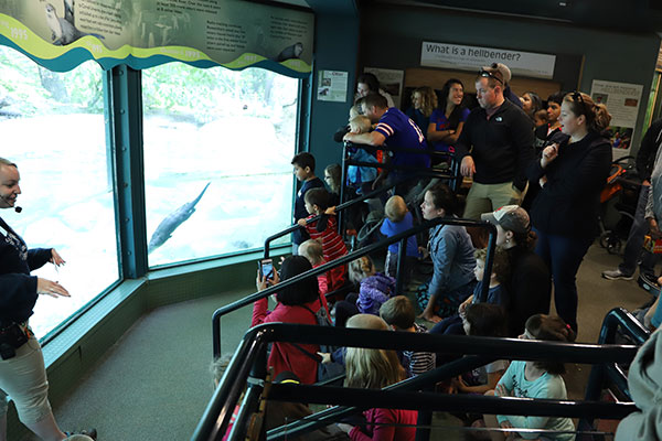 Zoo guests watching a river otter experience