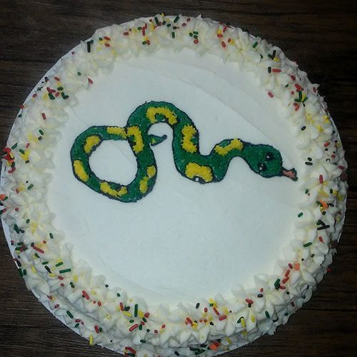 Birthday cake with snake