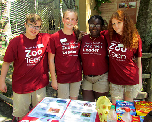 ZooTeens ZooTeens