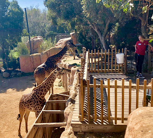 Parker and his father Michael at Santa Barbara Zoo Parker and his father Michael at Santa Barbara Zoo