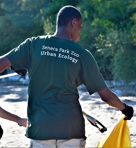 Urban Ecologist at a park clean-up event