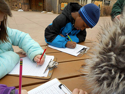 Young student doing work at the Zoo Young student doing work at the Zoo