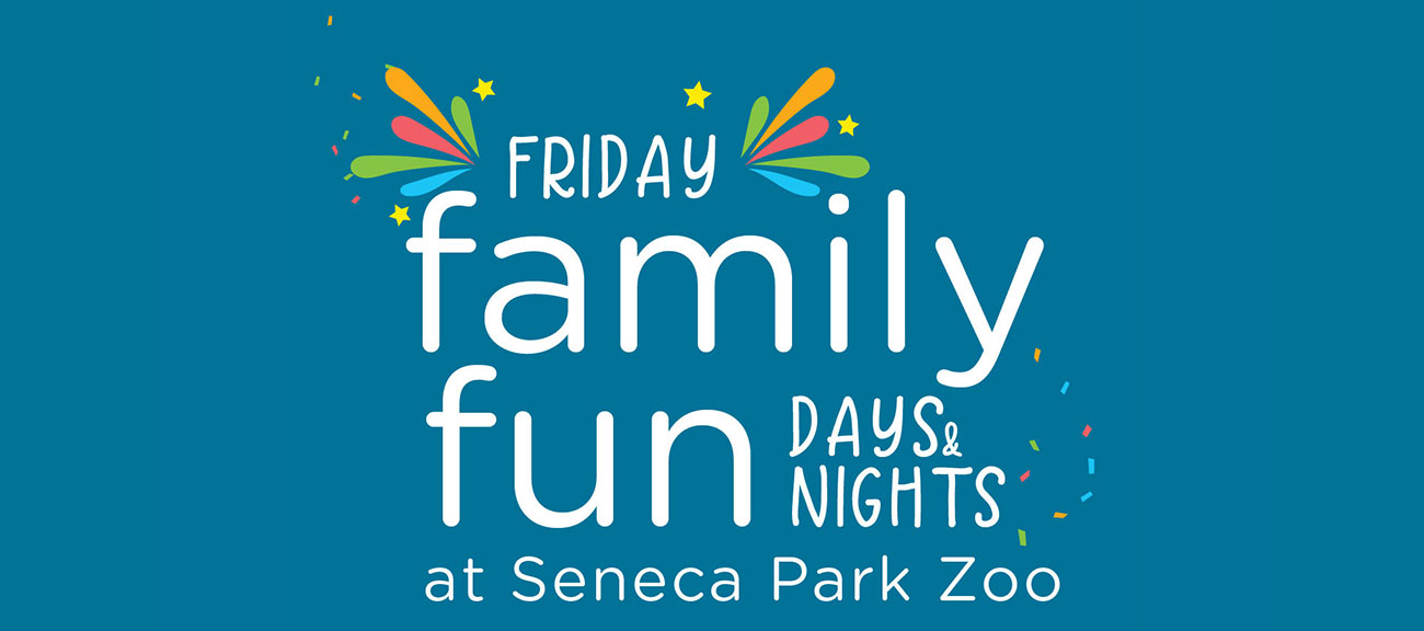 Friday Family Fun Days & Nights logo Friday Family Fun Days & Nights logo