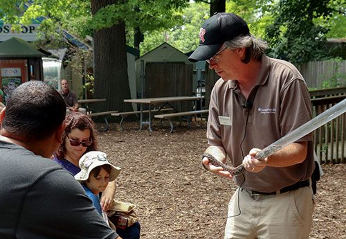 Zoo keeper doing a snake meet-and-greet for guests Zoo keeper doing a snake meet-and-greet for guests