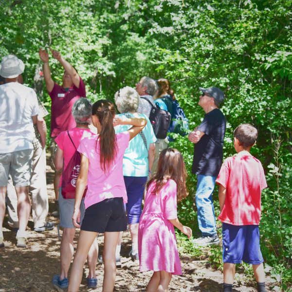 Virtual Scouts BSA - Merit Badge Workshop: Mammal Study - Seneca Park Zoo