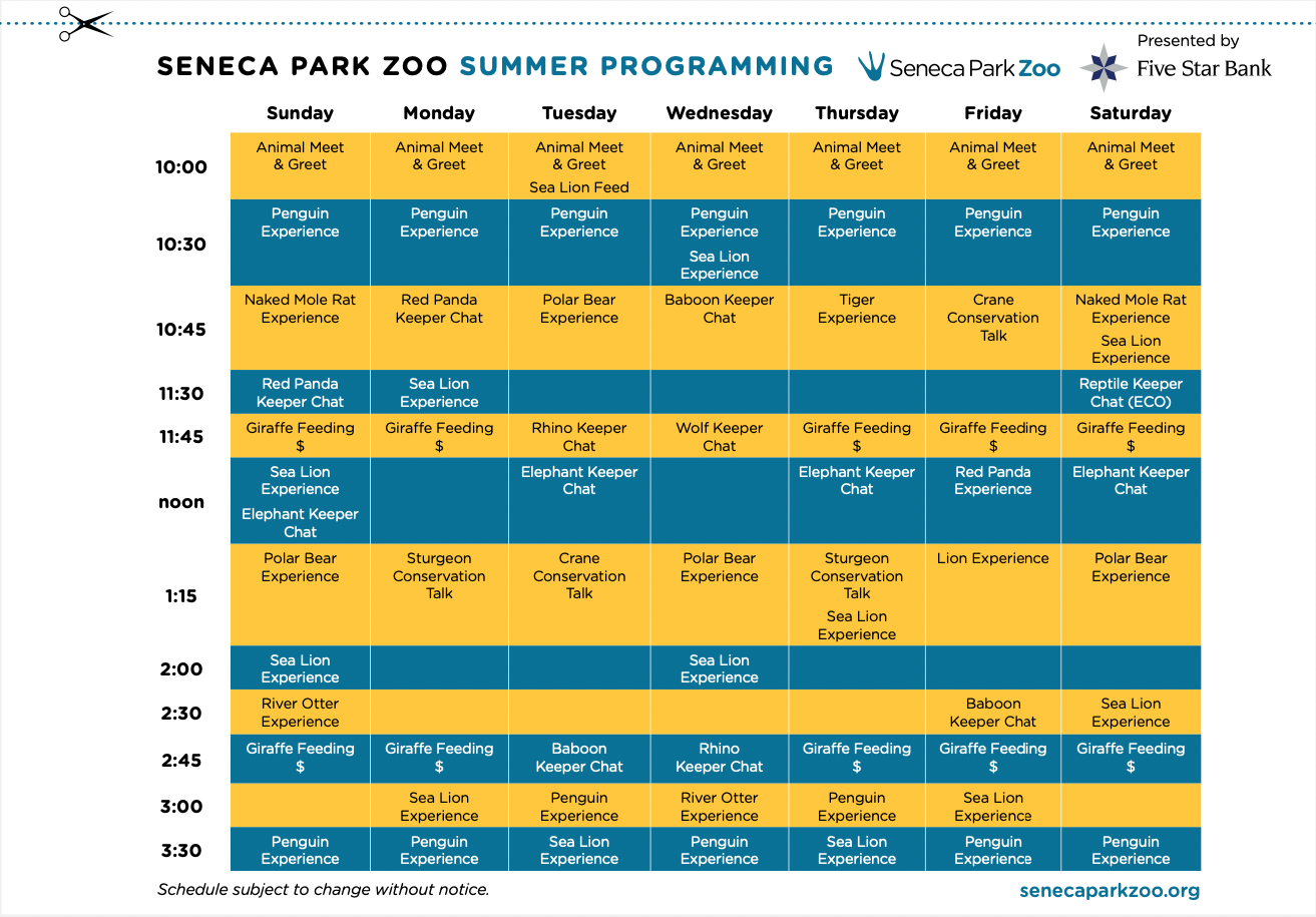 Summer Programming Schedule 2022