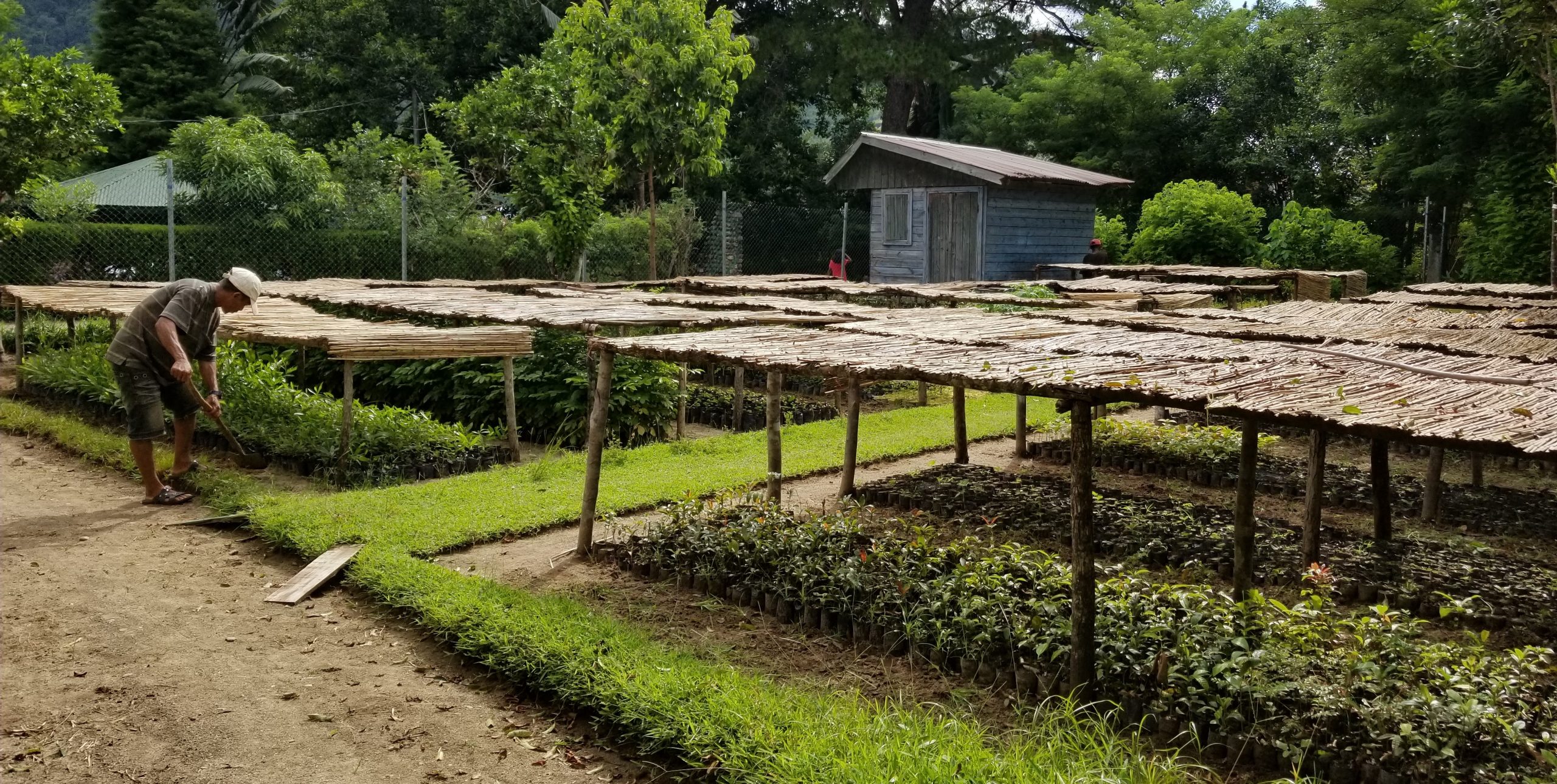 Cryptocurrency Conservation & Donations | Seneca Park Zoo