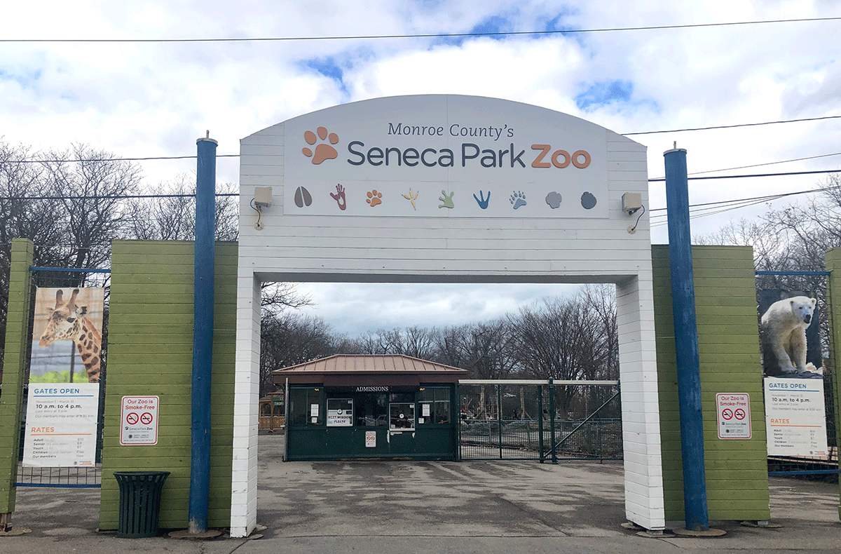 Seneca Park Zoo closed effective March 14, 2020