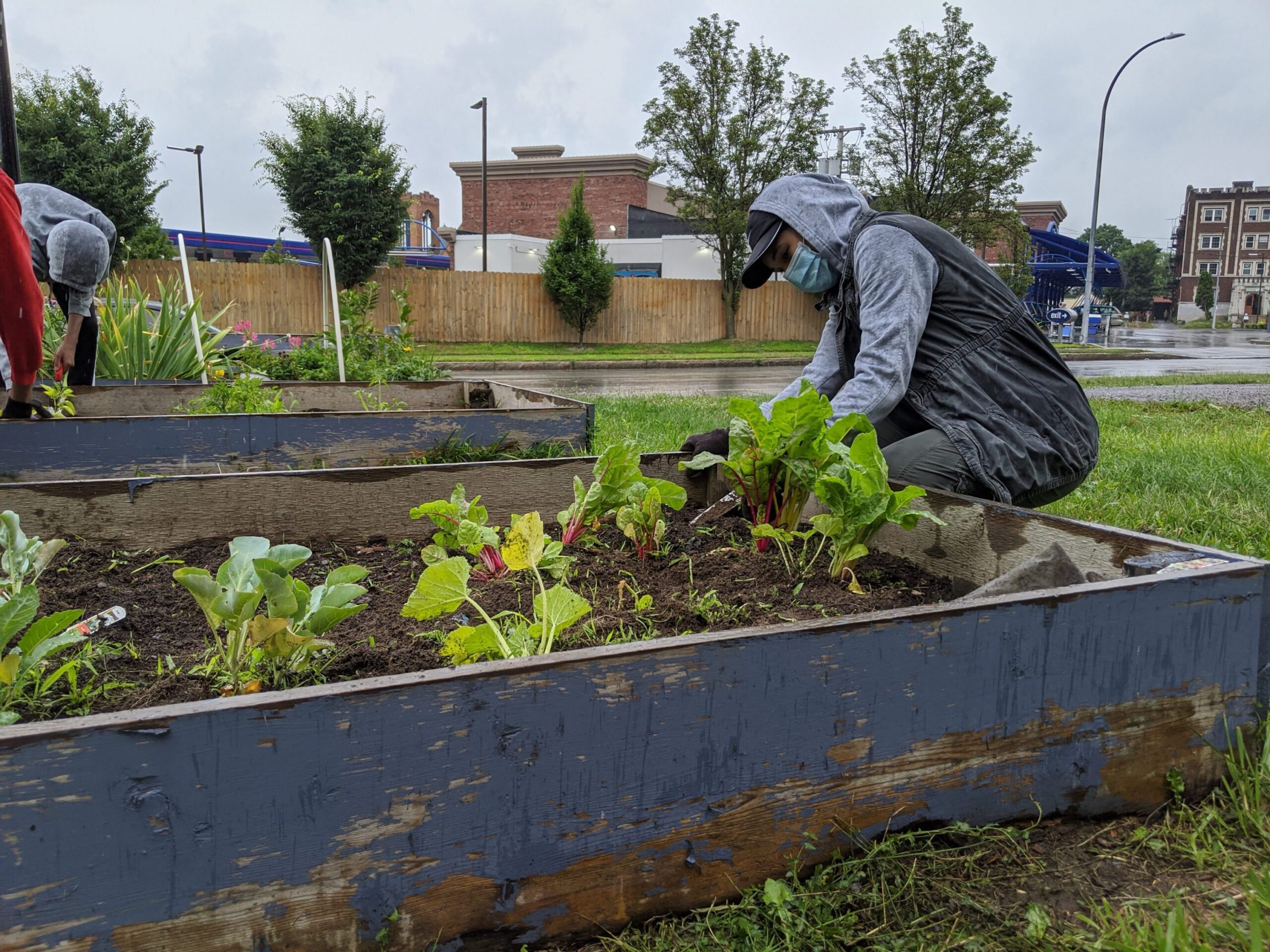 The Urban Ecology Program Grows and Evolves