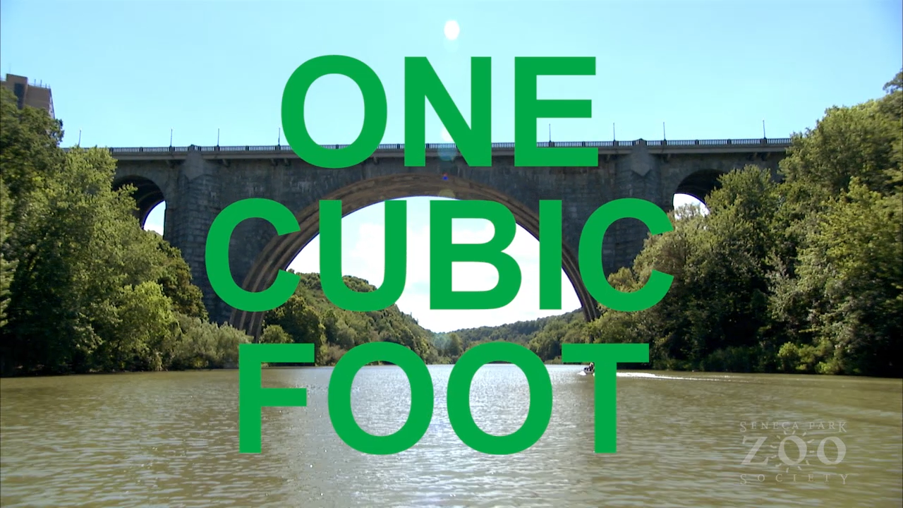 One Cubic Foot Madagascar