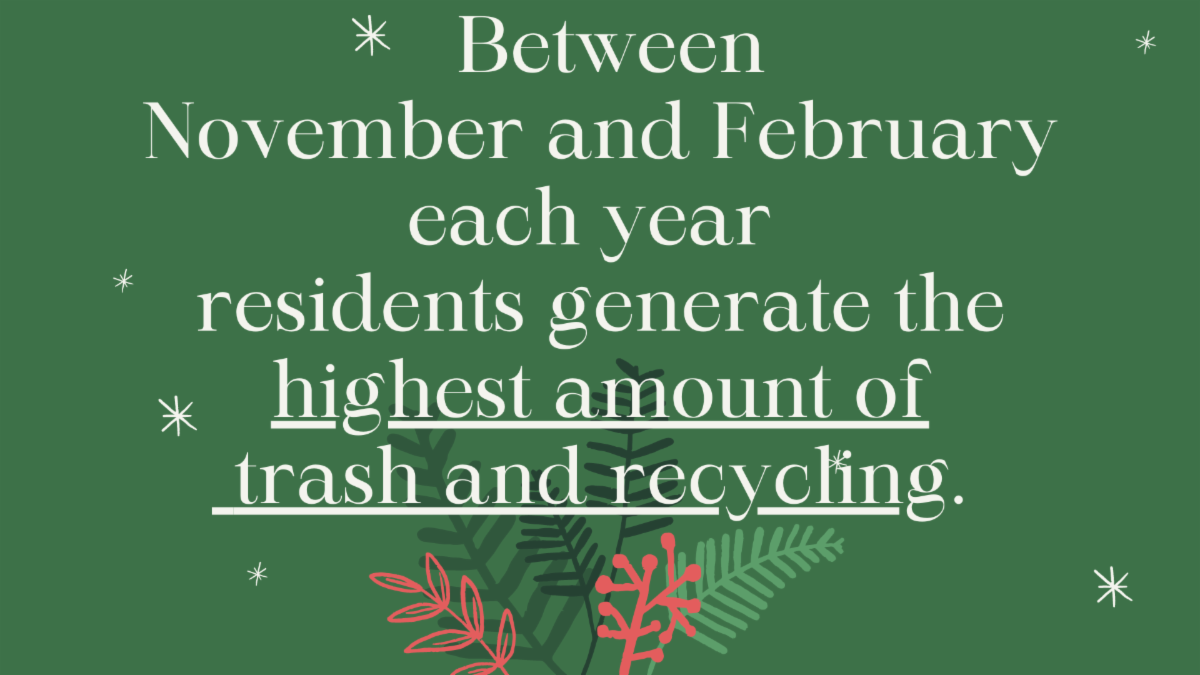 Holiday Recycling With the Zoo