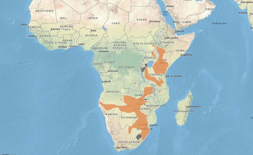 zebras in africa map