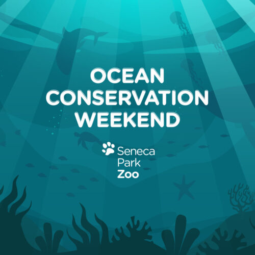 About Us - Ocean Conservancy