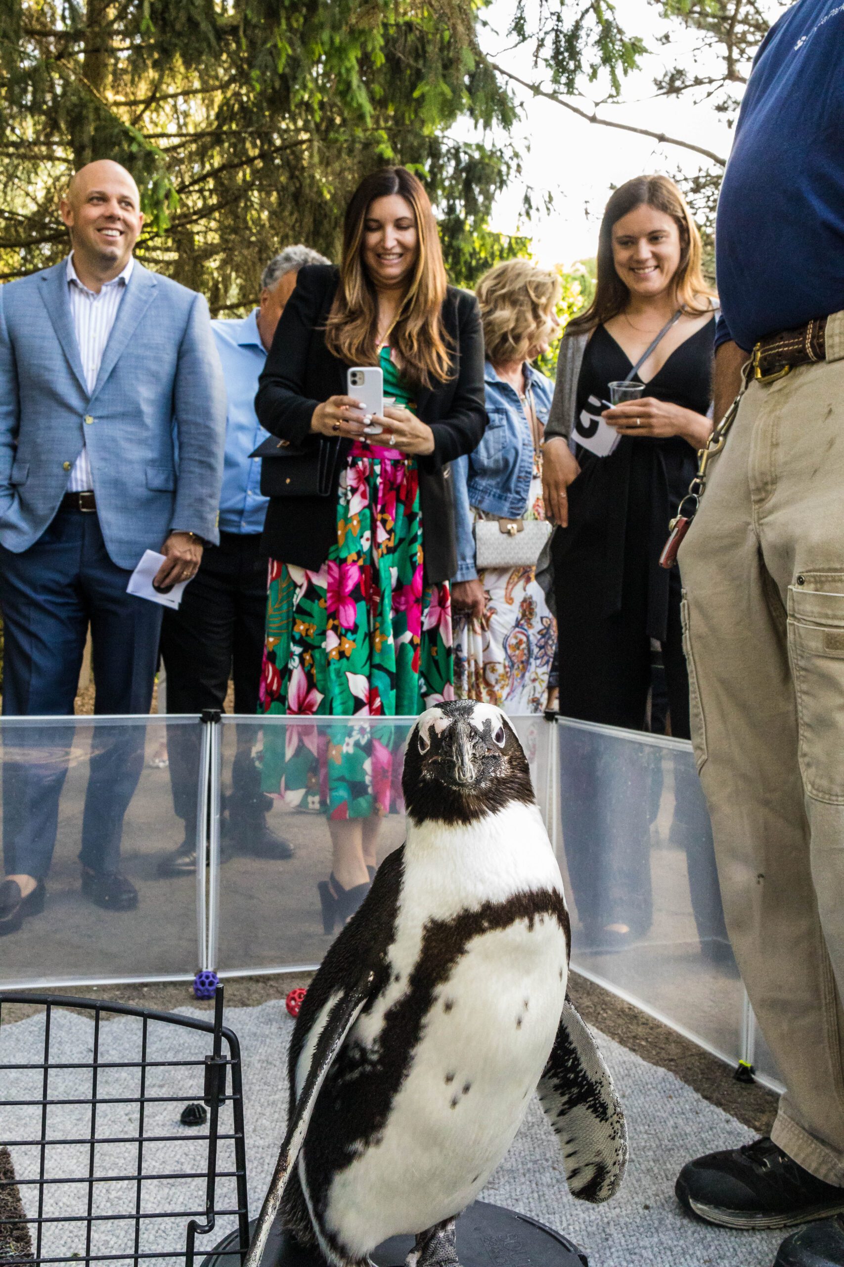 Zoobilation Seneca Park Zoo