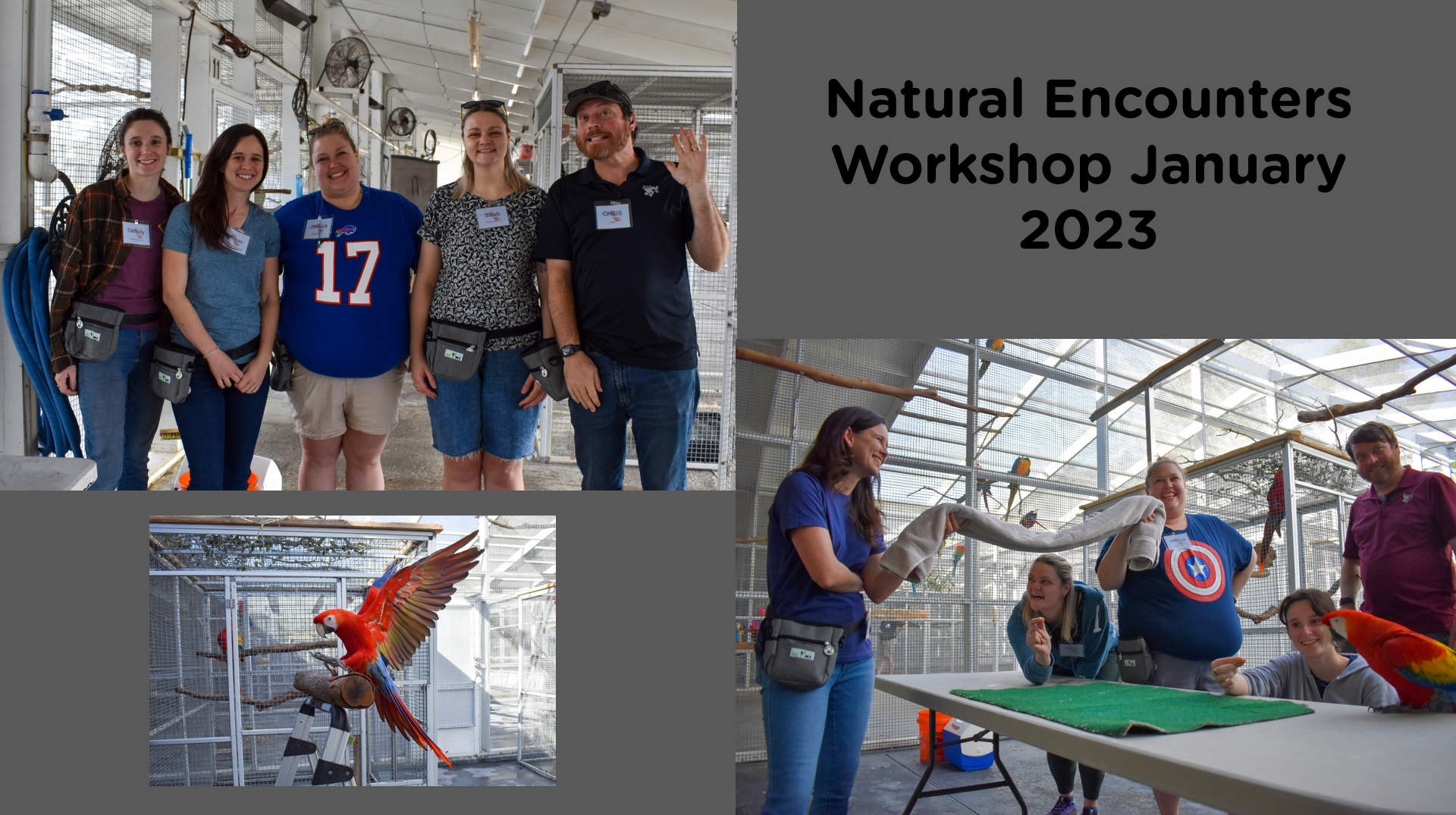 Animal Training Workshop Experience With Natural Encounters Inc.