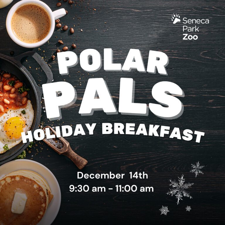 PolarPals_14th5