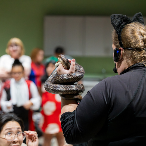 Spooktacular Photos (2)