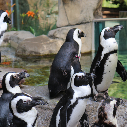 Untitled design - 2025-12-02T142843.832