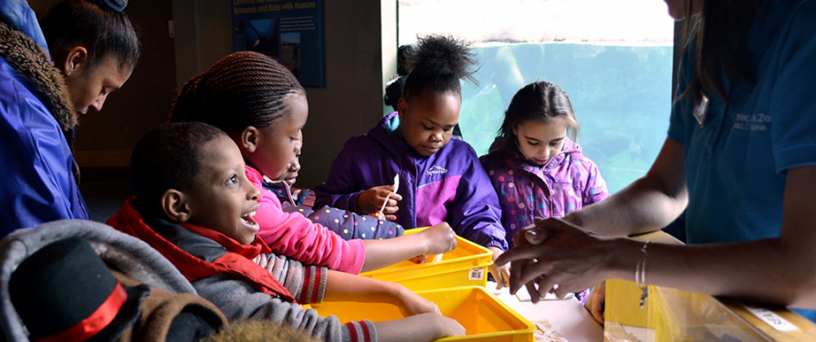 Seneca Park Zoo partners with RCSD on first-of-its-kind curriculum