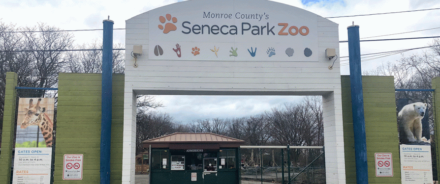 Seneca Park Zoo closed effective March 14, 2020 - Seneca Park Zoo