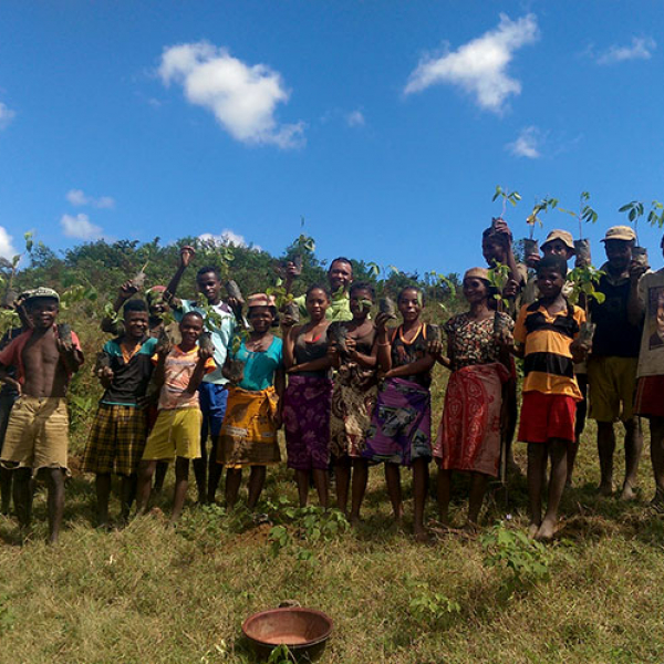 Malagasy people helping plant trees in Ranomafana National Park