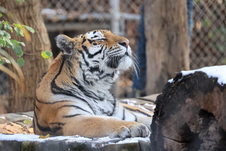 322A8509_original_WalterBrooks