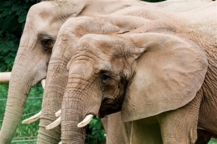 DSC_0308_2021_Kristen Matteo 2