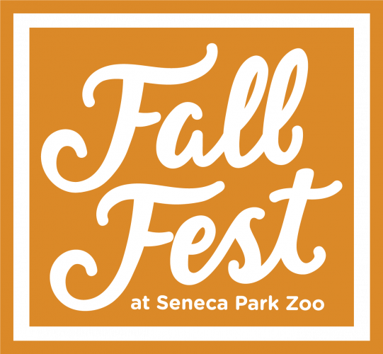 FallFest_9222_Final (6)