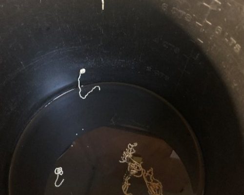 Panamanian golden frog eggs in water - April 15 2022