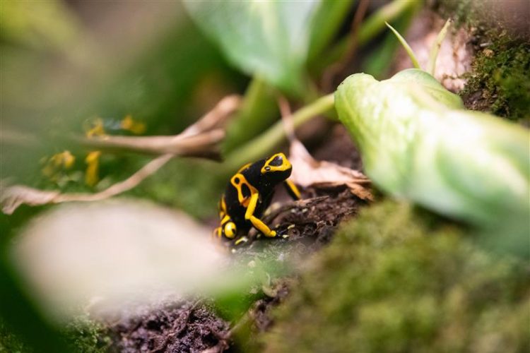 SenecaParkZoo_2024_KristenMatteo-134