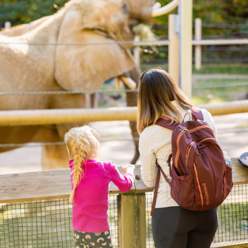 Untitled design - 2025-12-22T115150.818